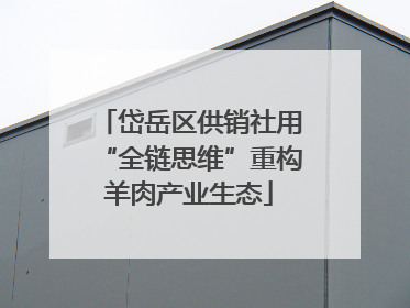 岱岳区供销社用“全链思维”重构羊肉产业生态