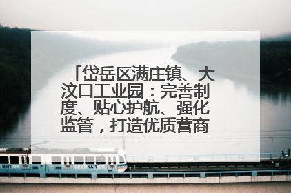 岱岳区满庄镇、大汶口工业园：完善制度、贴心护航、强化监管，打造优质营商“强磁场”