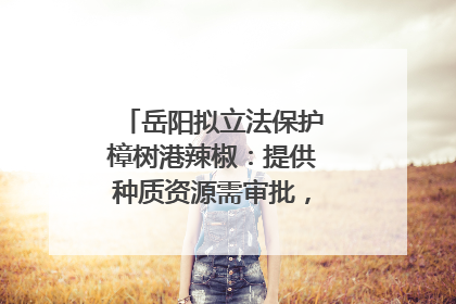 岳阳拟立法保护樟树港辣椒：提供种质资源需审批，违规最高罚5万