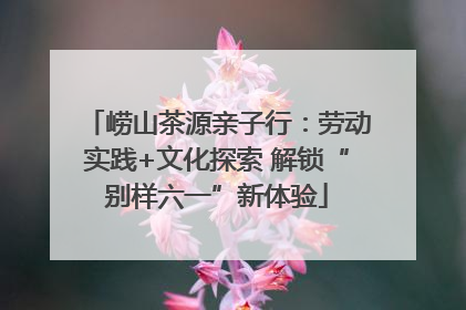 崂山茶源亲子行：劳动实践+文化探索 解锁“别样六一”新体验