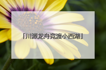 川派龙舟竞渡小西湖