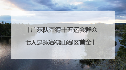 广东队夺得十五运会群众七人足球赛佛山赛区首金