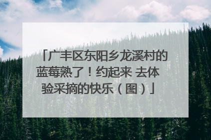 广丰区东阳乡龙溪村的蓝莓熟了！约起来 去体验采摘的快乐（图）