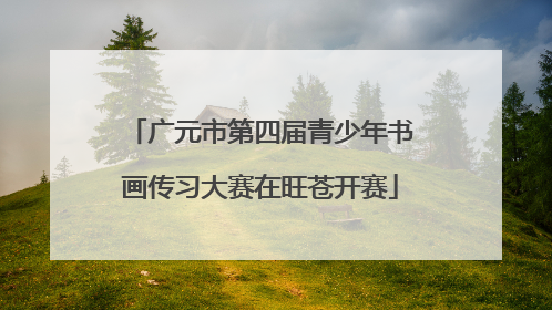 广元市第四届青少年书画传习大赛在旺苍开赛
