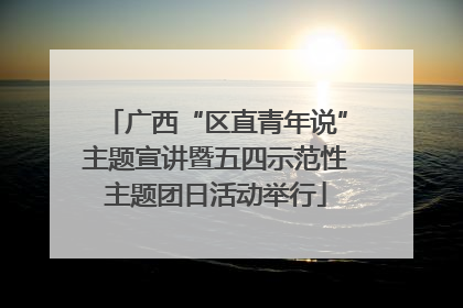 广西“区直青年说”主题宣讲暨五四示范性主题团日活动举行