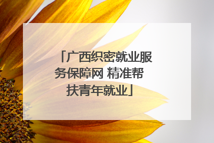 广西织密就业服务保障网 精准帮扶青年就业