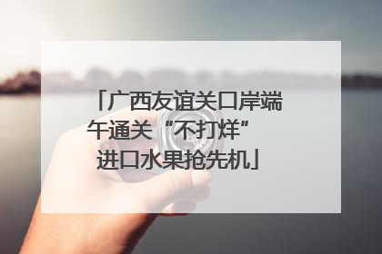 广西友谊关口岸端午通关“不打烊” 进口水果抢先机