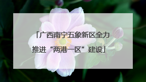 广西南宁五象新区全力推进“两港一区”建设