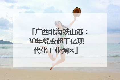 广西北海铁山港：30年蝶变超千亿现代化工业强区