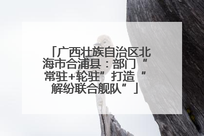 广西壮族自治区北海市合浦县：部门“常驻+轮驻”打造“解纷联合舰队”