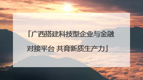 广西搭建科技型企业与金融对接平台 共育新质生产力