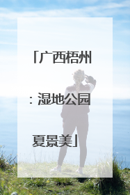 广西梧州：湿地公园夏景美