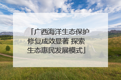 广西海洋生态保护修复成效显著 探索生态惠民发展模式