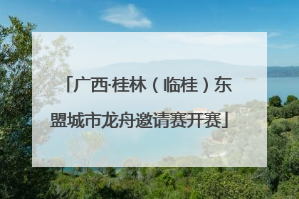 广西·桂林（临桂）东盟城市龙舟邀请赛开赛