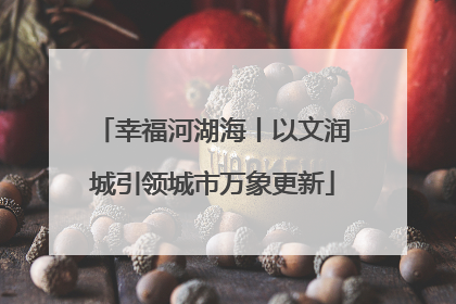 幸福河湖海丨以文润城引领城市万象更新