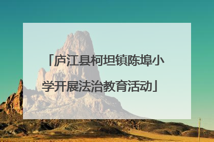 庐江县柯坦镇陈埠小学开展法治教育活动