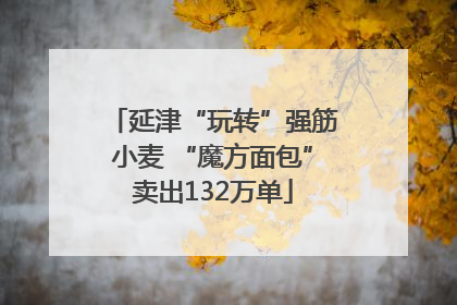 延津“玩转”强筋小麦 “魔方面包”卖出132万单