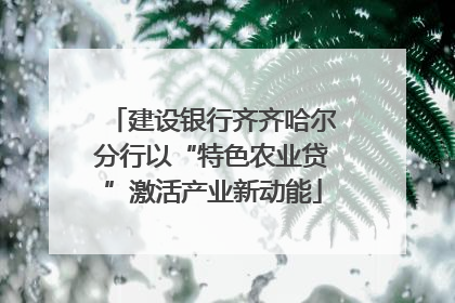 建设银行齐齐哈尔分行以“特色农业贷”激活产业新动能