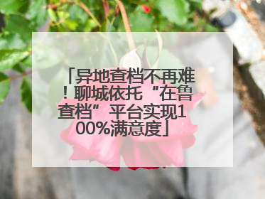 异地查档不再难！聊城依托“在鲁查档”平台实现100%满意度