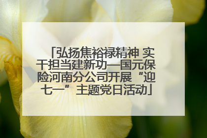 弘扬焦裕禄精神 实干担当建新功—国元保险河南分公司开展“迎七一”主题党日活动