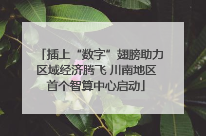 插上“数字”翅膀助力区域经济腾飞 川南地区首个智算中心启动