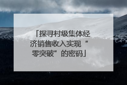 探寻村级集体经济销售收入实现“零突破”的密码