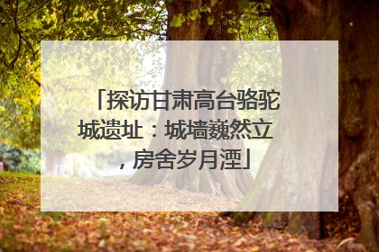 探访甘肃高台骆驼城遗址：城墙巍然立，房舍岁月湮