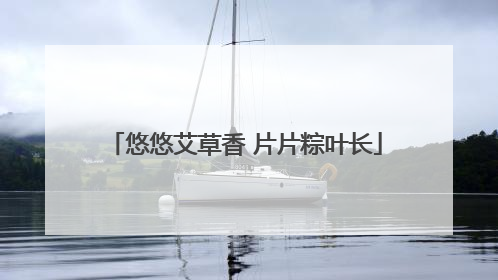 悠悠艾草香 片片粽叶长