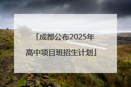成都公布2025年高中项目班招生计划