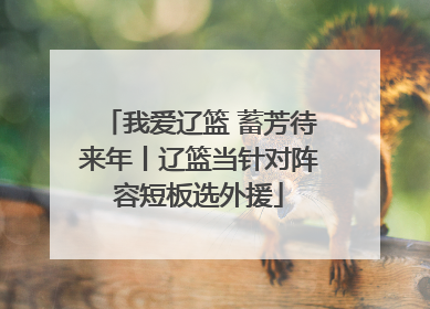 我爱辽篮 蓄芳待来年丨辽篮当针对阵容短板选外援