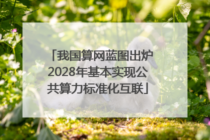 我国算网蓝图出炉 2028年基本实现公共算力标准化互联