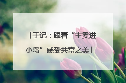 手记：跟着“主委进小岛”感受共富之美