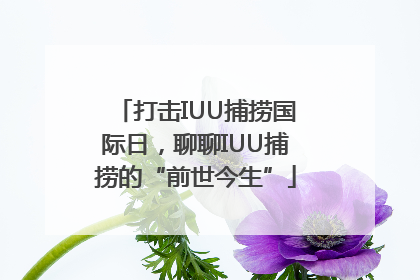 打击IUU捕捞国际日，聊聊IUU捕捞的“前世今生”