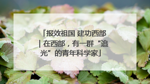 报效祖国 建功西部｜在西部，有一群“追光”的青年科学家