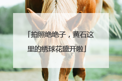 拍照绝绝子，黄石这里的绣球花盛开啦