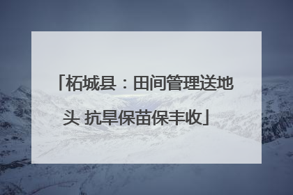 柘城县：田间管理送地头 抗旱保苗保丰收