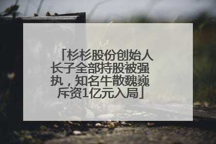 杉杉股份创始人长子全部持股被强执，知名牛散魏巍斥资1亿元入局