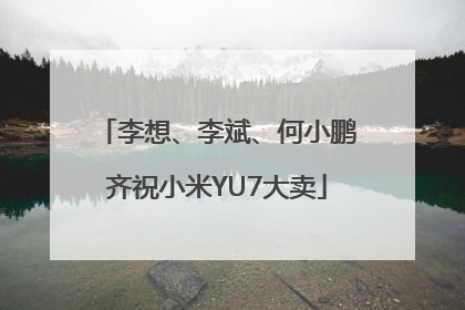 李想、李斌、何小鹏齐祝小米YU7大卖