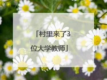 村里来了3位大学教师