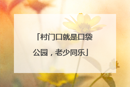 村门口就是口袋公园，老少同乐