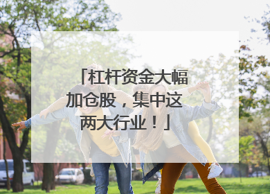 杠杆资金大幅加仓股，集中这两大行业！