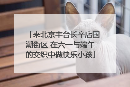 来北京丰台长辛店国潮街区 在六一与端午的交织中做快乐小孩