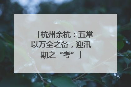 杭州余杭：五常以万全之备，迎汛期之“考”