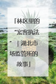 林区里的“宠客执法”｜湖北市场监管所的故事