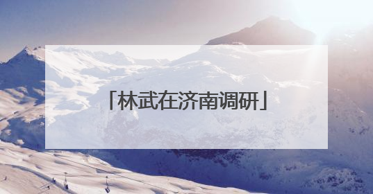 林武在济南调研