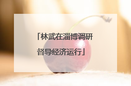 林武在淄博调研督导经济运行