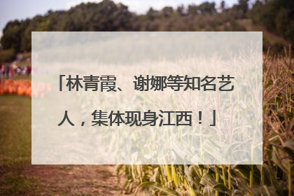 林青霞、谢娜等知名艺人，集体现身江西！