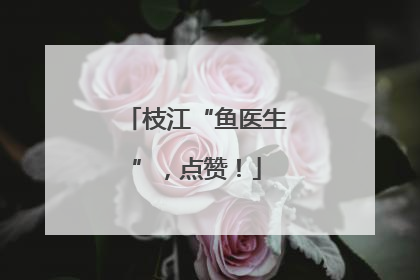 枝江“鱼医生”，点赞！