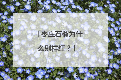 枣庄石榴为什么别样红？