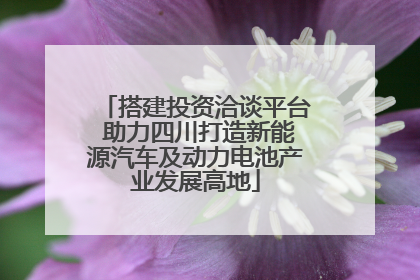 搭建投资洽谈平台 助力四川打造新能源汽车及动力电池产业发展高地